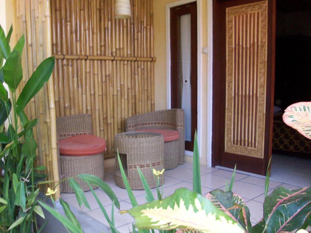 Petit Boo Amed Quarto foto